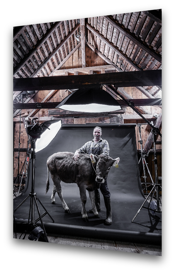 Person mit Kuh vor schwarzem Hintergrund im rustikalen Studioset von Arts Unlimited 4 Rent